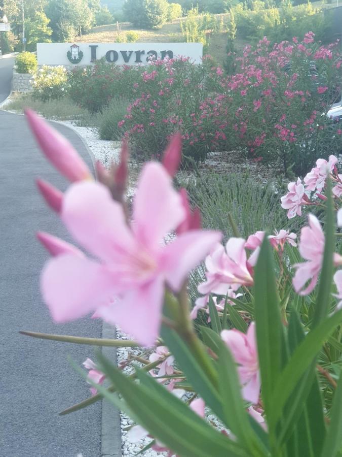 Apartment With Direct Sea View, Free Parking And Close To Beaches And Promenade Lovran Kültér fotó